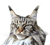 20250620_123850.png