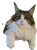 20241026_205455_205456.png