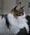 20251109_144403.jpg