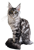 20260413_114158.png